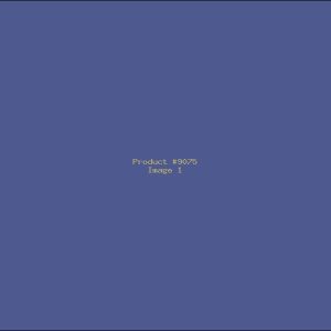 Example Product 9075