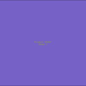 Example Product 9087