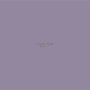 Example Product 9108