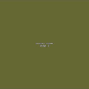 Example Product 9109