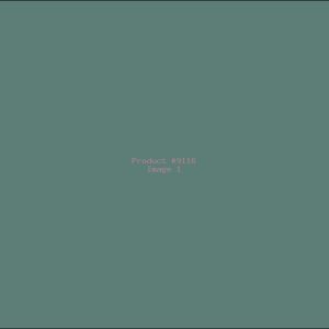 Example Product 9116