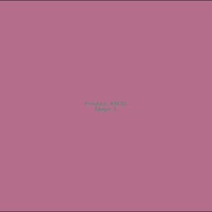 Example Product 9125