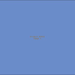 Example Product 9162