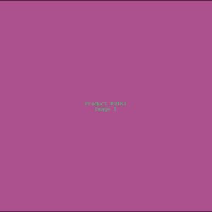 Example Product 9163