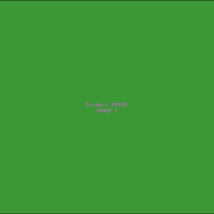 Example Product 9166