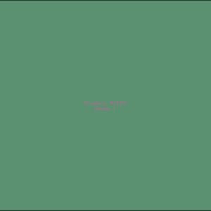 Example Product 9169