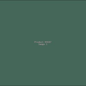 Example Product 9187