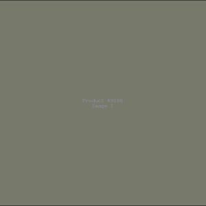 Example Product 9188