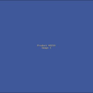 Example Product 9210