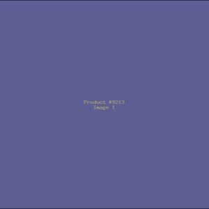 Example Product 9213