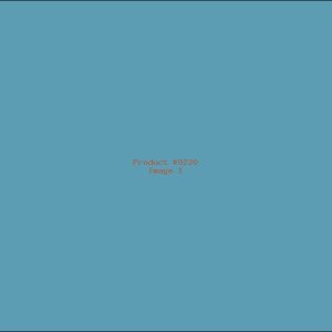 Example Product 9220