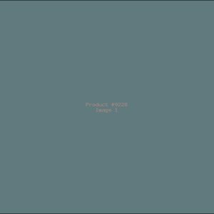 Example Product 9228