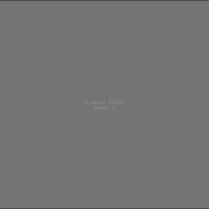 Example Product 9230