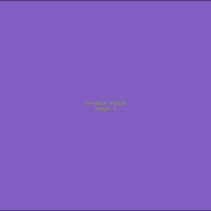 Example Product 9234