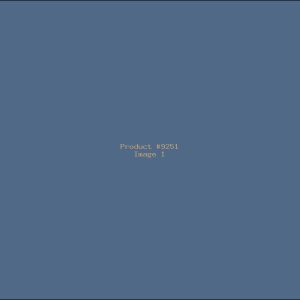 Example Product 9251