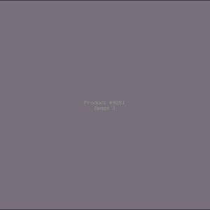 Example Product 9261