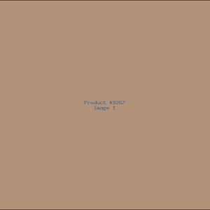 Example Product 9267