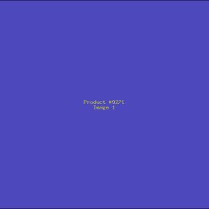 Example Product 9271