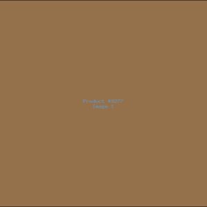 Example Product 9277