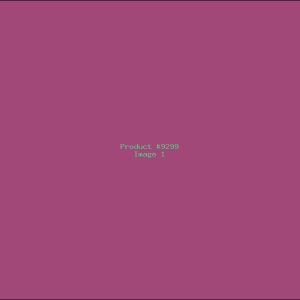 Example Product 9299