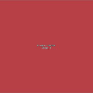 Example Product 9304