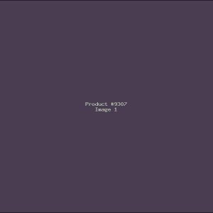 Example Product 9307