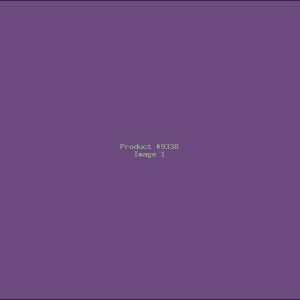 Example Product 9338