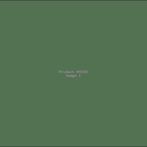 Example Product 9339