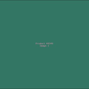 Example Product 9349