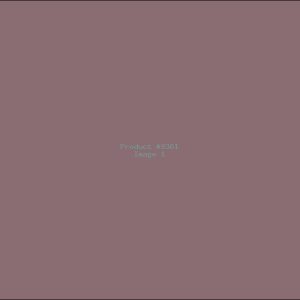 Example Product 9361