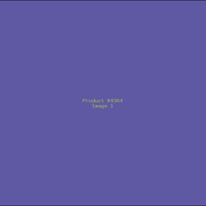 Example Product 9364