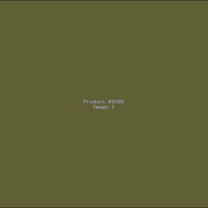 Example Product 9385