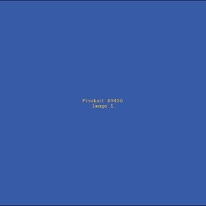 Example Product 9410