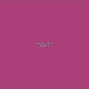 Example Product 9437