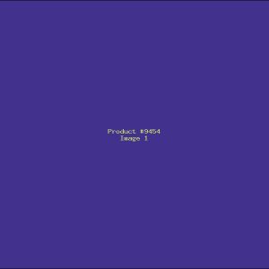 Example Product 9454