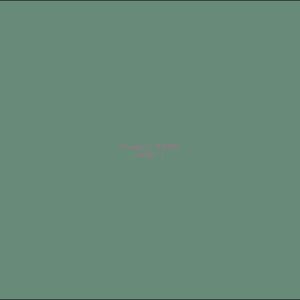 Example Product 9488