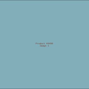 Example Product 9498