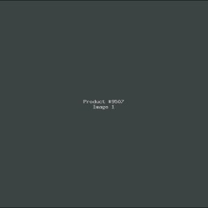 Example Product 9507