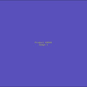 Example Product 9508