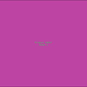 Example Product 9517