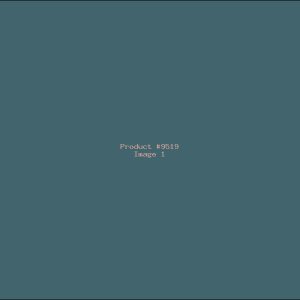 Example Product 9519