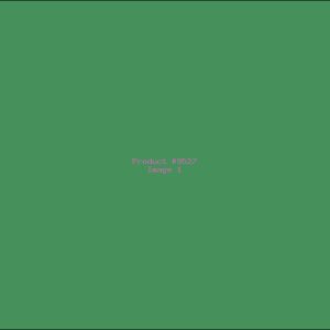 Example Product 9527