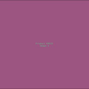 Example Product 9533