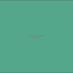 Example Product 9538