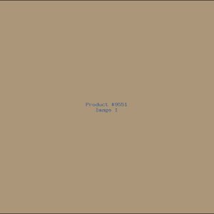 Example Product 9551