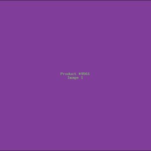 Example Product 9561