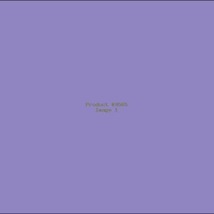 Example Product 9565