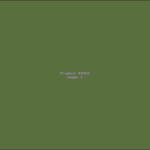 Example Product 9569