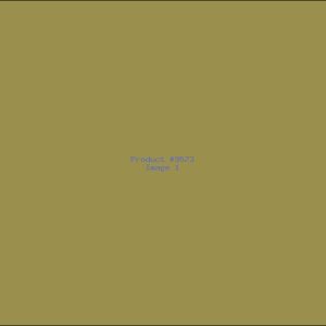 Example Product 9573