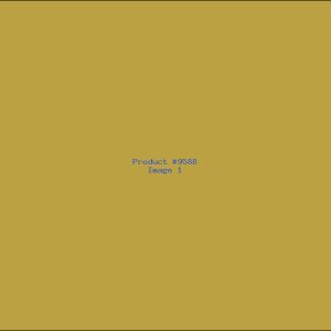 Example Product 9588